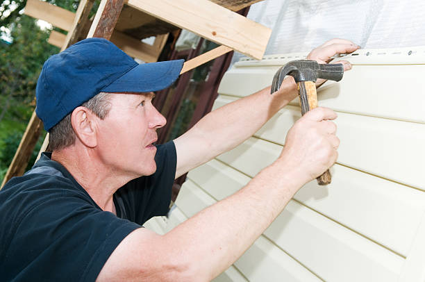 Best Siding Removal and Disposal  in Kaibito, AZ
