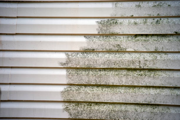 Best Fiber Cement Siding Installation  in Kaibito, AZ