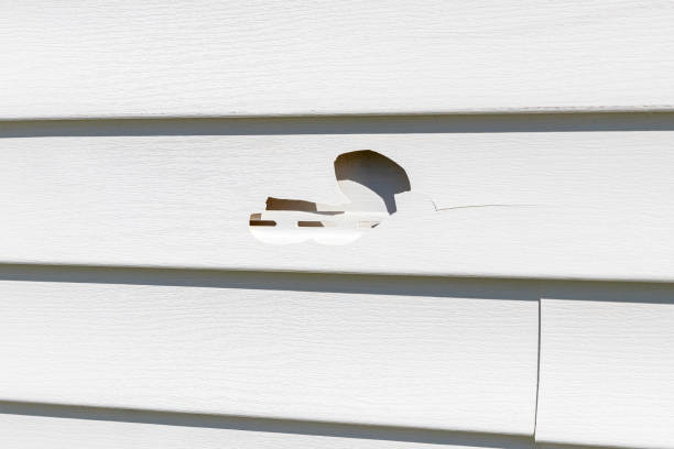 Best Stucco Siding  in Kaibito, AZ