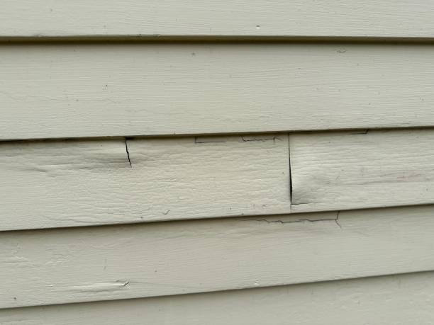 Best Aluminum Siding Installation  in Kaibito, AZ